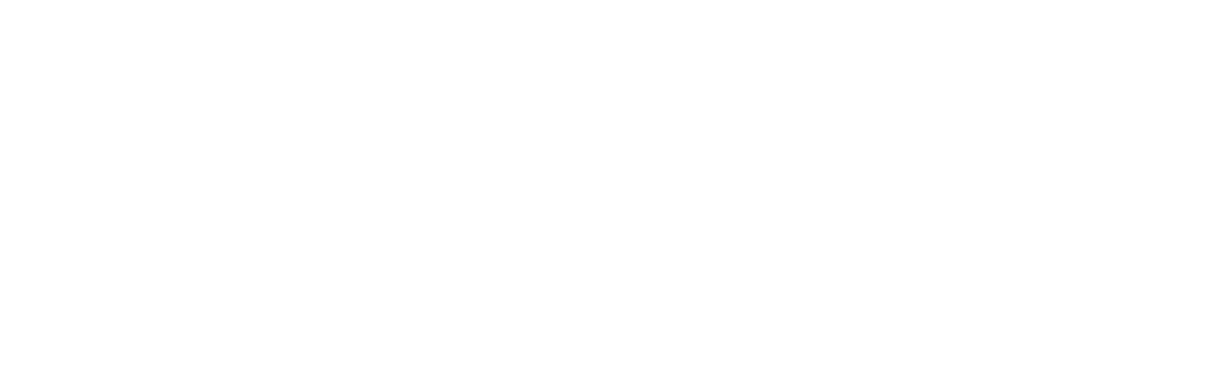 Förderplus